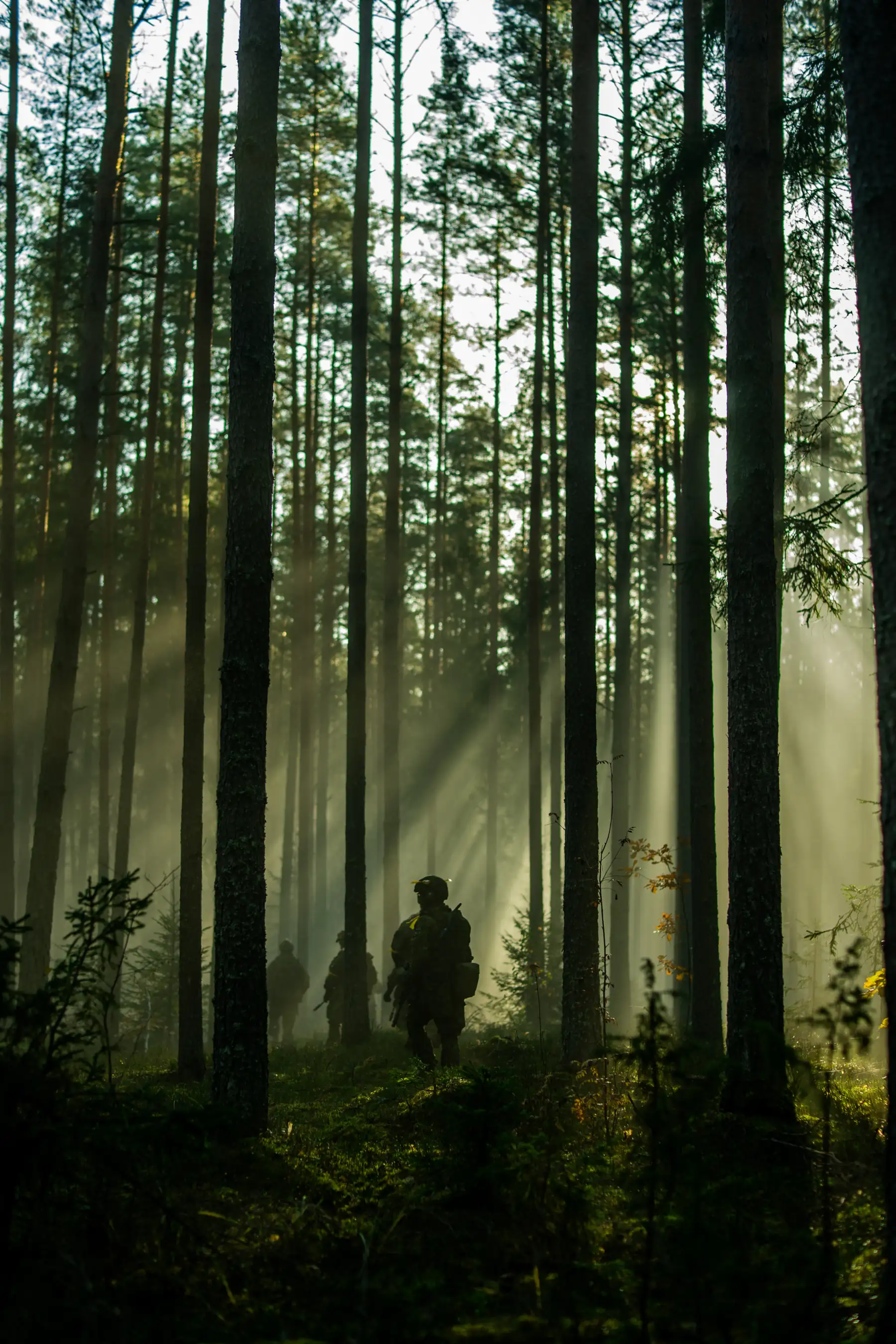 Kaitseliitlased metsas